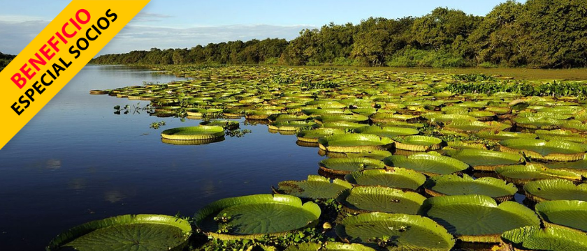 Esteros del Iberá