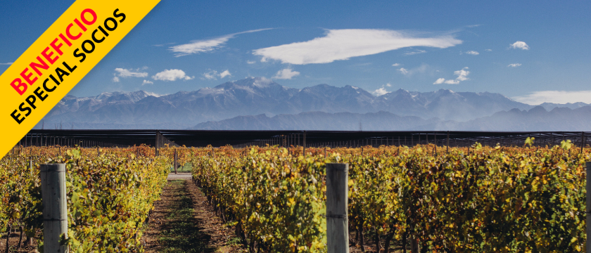 Mendoza | Vacaciones De Invierno - Bus todo Incluido